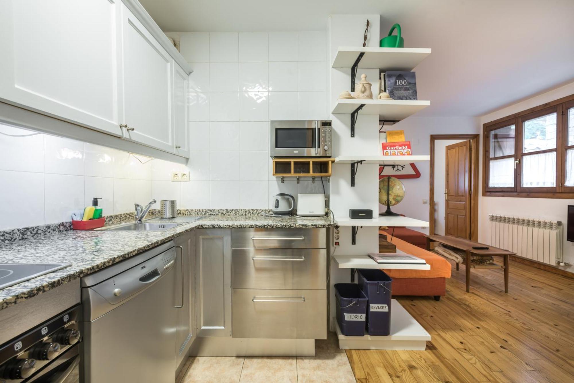 בנאסקה Apartamento La Benasquita מראה חיצוני תמונה